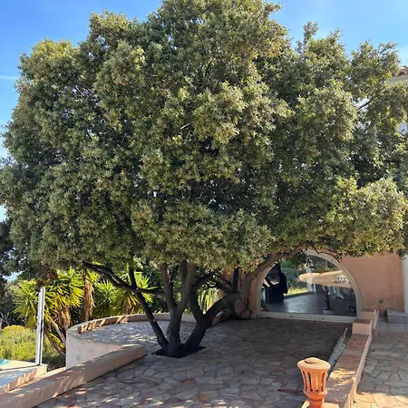 Casa A Scopa * Lumio (Corsica)