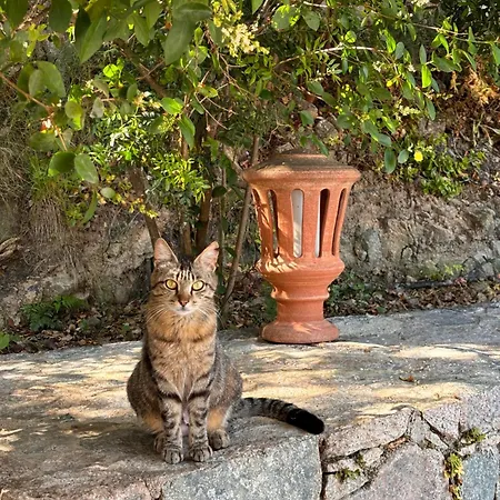 Villa Casa A Scopa Lumio (Corsica)