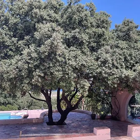 Villa Casa A Scopa Lumio (Corsica)